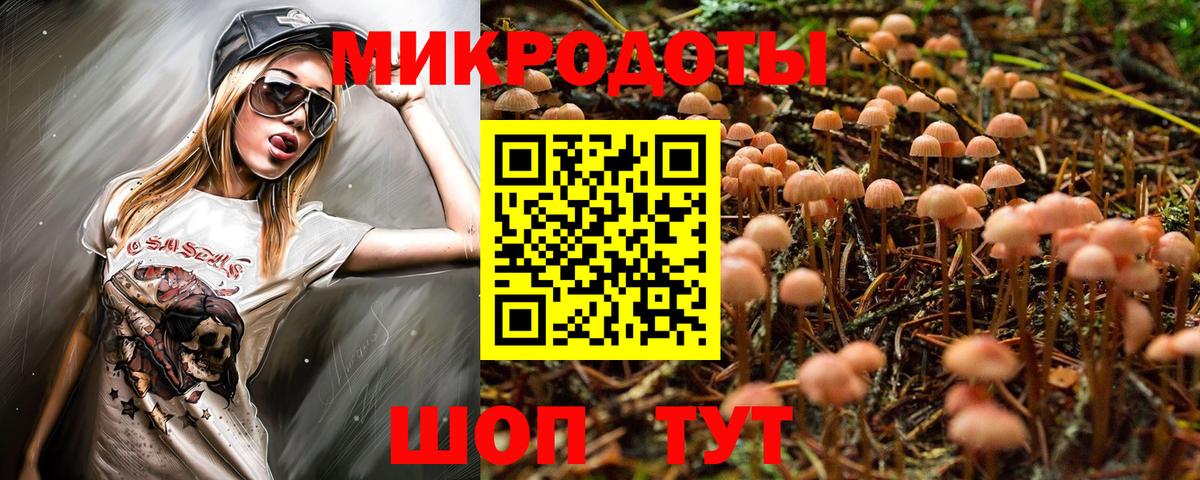 Псилоцибиновые грибы Cubensis  Вход с VPN  Кудымкар 