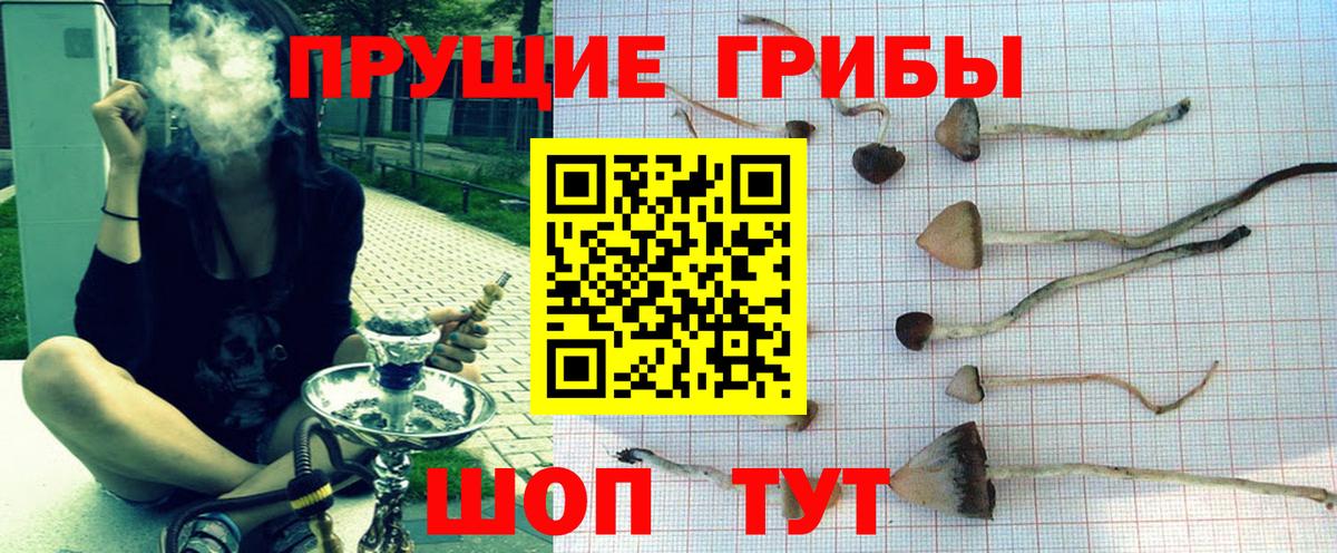 Псилоцибиновые грибы GOLDEN TEACHER Кудымкар